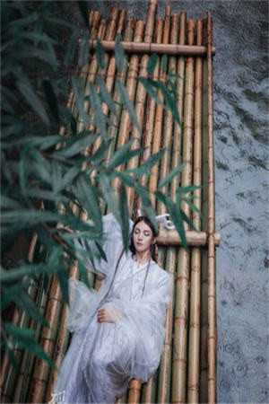予以无虞小说免费（予以无虞小说免费精彩吗）