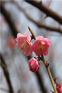 宋小姐追夫日常（宋小姐追夫日常有谁知道）