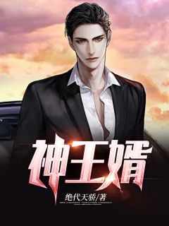超级医婿叶天（每日精选好书超级医婿叶天）