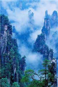 战武强尊（战武强尊精彩吗）