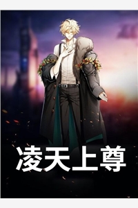 叶以念陆宸阅读（叶以念陆宸阅读结局好不好）
