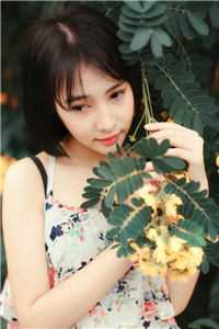王者奶爸（王者奶爸是谁写的）