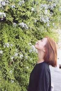 重生后，我把渣总虐死了（重生后，我把渣总虐死了）