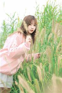 落花替身免费阅读全文（落花替身免费阅读全文是谁写的）