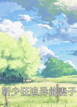 叶枫李菲尔（叶枫李菲尔好不好看）