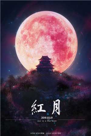 宿命直播小说（宿命直播小说好看吗）