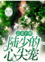 夏唯兮叶言辰（夏唯兮叶言辰男主角是什么意思）