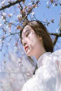 伪君子（伪君子好不好看）