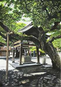 盖世仙医杨洛下山进城（盖世仙医杨洛下山进城小说男主角名字）