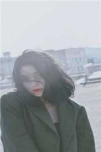 夫人太套路（夫人太套路好不好看）