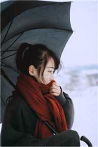丹师剑宗（丹师剑宗）