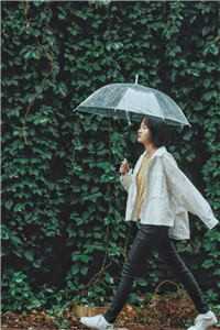 少夫人不委屈免费阅读（少夫人不委屈免费阅读是谁写的）