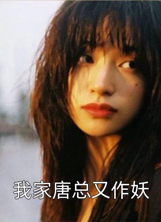 沉沉暮夏晚来秋（沉沉暮夏晚来秋小说家的作者是谁）