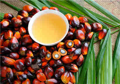 预计2021年全球棕榈油产量将增长近6％