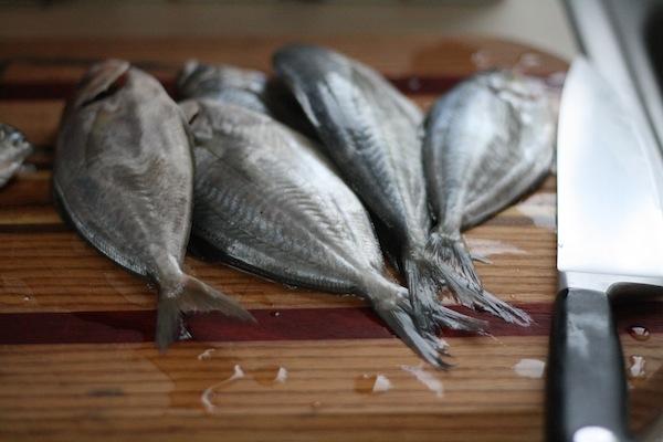 传统发酵鱼的微生物代谢控制风味形成