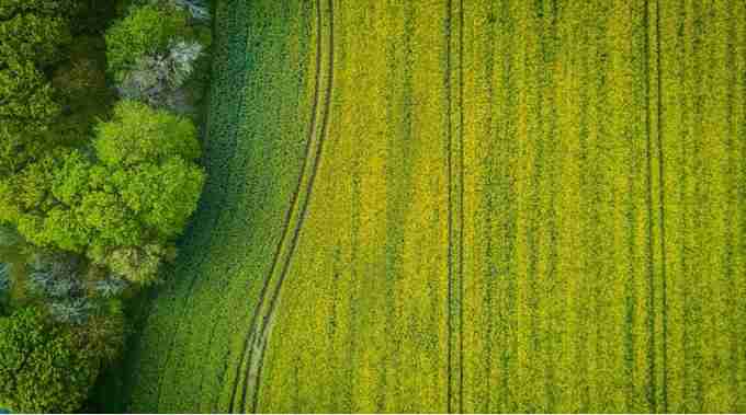 住友化学向美国生物风险投资公司投资3000万美元