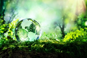 LG Chem到2050年实现碳中和，以推动循环经济计划