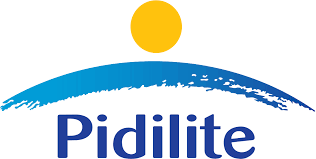 Pidilite收益，由于销量减少，利润下降