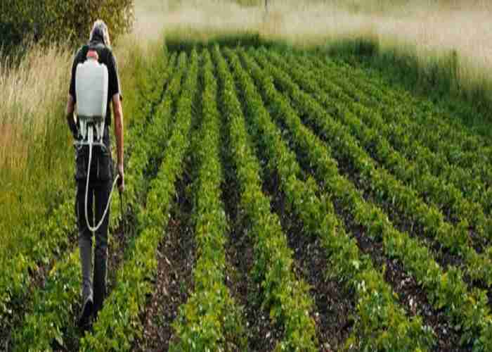 NACL增长强劲；宣布古吉拉特邦的新农化工厂