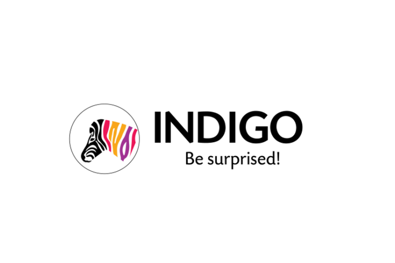 Indigo Paints将于2021年1月20日公开募股