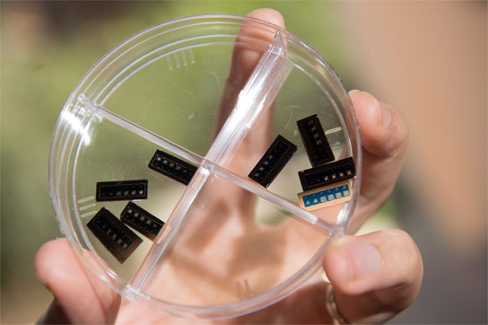 研究人员基于氧化硅开发一千比内存芯片