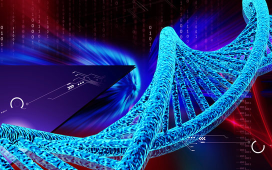 科学家工程师第一生物与扩展的遗传字母表