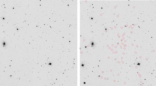 化学分析表明，附近的银河Segue 1是早期宇宙的“化石”