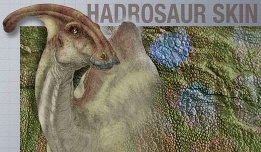 研究阐述了所有已知的恐龙皮肤化石中皮肤病皮肤的患病率