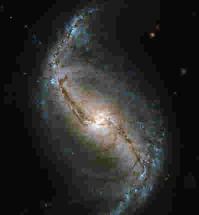 炉中的螺旋 - 禁止螺旋星系NGC 986
