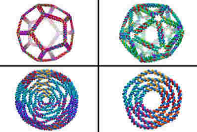 新的计算机模型从DNA设计复杂的3D结构