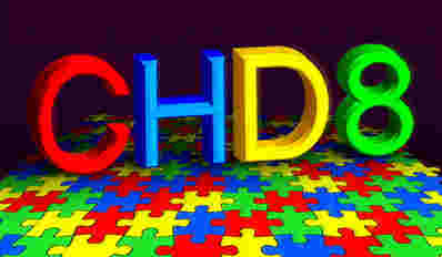 耶鲁大学的研究揭示了自闭症基因之间的联系