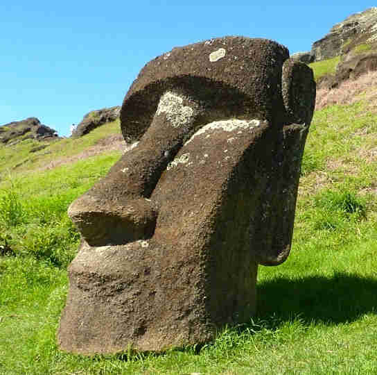 考古学家揭示了对rapa nui社会的消亡的因素