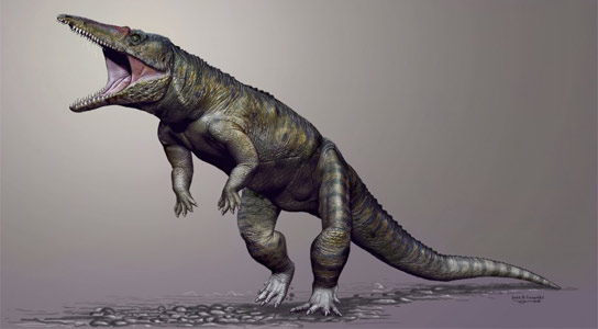 Carnufex Carolinensis  - 北美的恐龙前掠夺者？