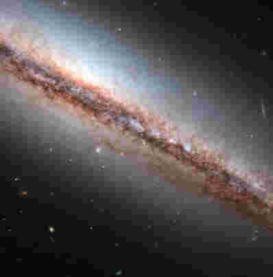 哈勃看到了螺旋星系NGC 4217的尘埃细丝