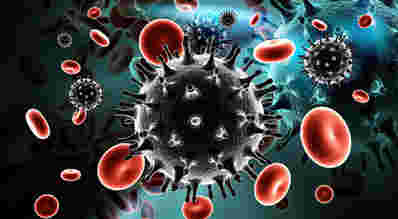 新的艾滋病毒发现Dampens的潮湿希望即将治疗