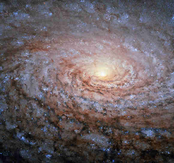 本周的哈勃图像 - 向日葵星系（Messier 63）