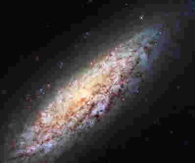 NGC 6503：一个孤独的星系“迷失在太空”