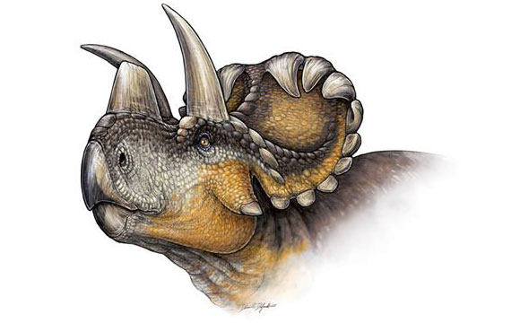 新的有角恐龙物种– Pindicensis Wendiceratops