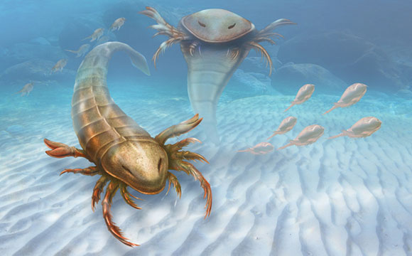 五旬节 - 史前海的巨型海洋蝎子