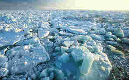 冷冻卫星显示北极海冰的增加