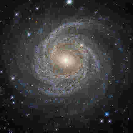 本周的哈勃图像 - 螺旋星系NGC 6814