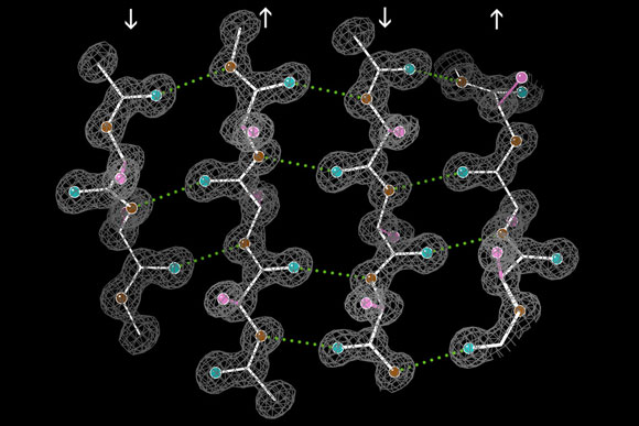 增强灵敏度的NMR揭示了蛋白质结构的新细节