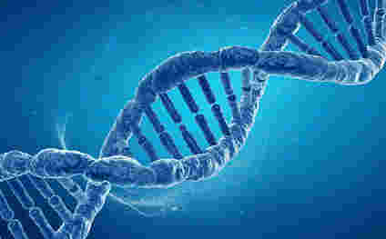 科学家揭示了人类遗传变异目录