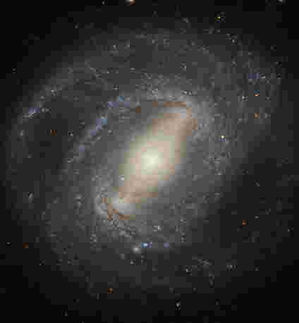 本周的哈勃图像 -  NGC 4394