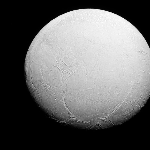 卡西尼号揭示了土卫二的半球