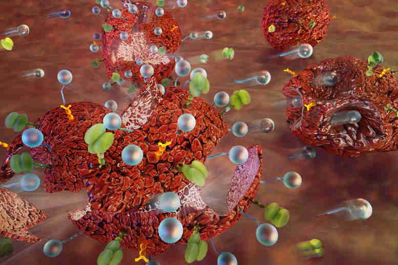 束缚的纳米颗粒提高了基于免疫的药物的性能