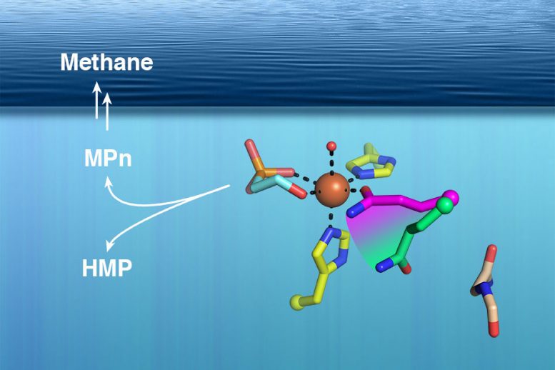 新发现可能解决“海洋甲烷悖论”