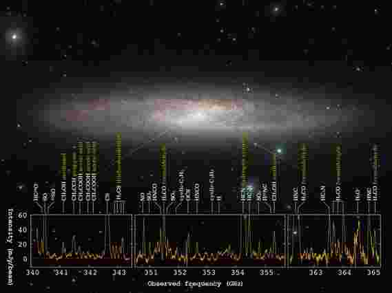 Alma揭示了在NGC 253中的不同核星形活动