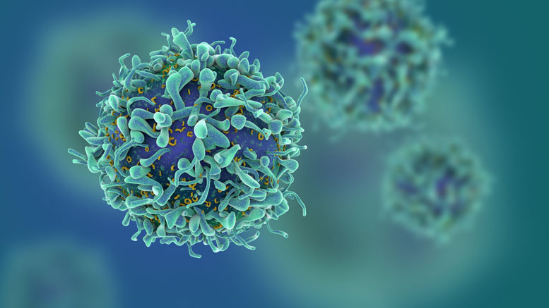 新技术靶向癌症​​而不破坏健康的T细胞