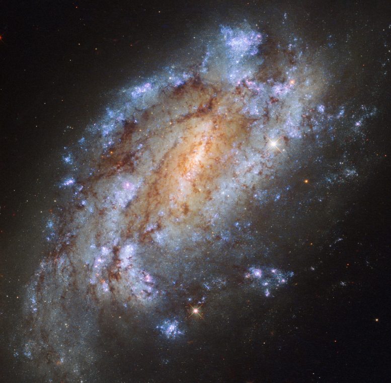 本周的哈勃图像 - 螺旋星系NGC 1559